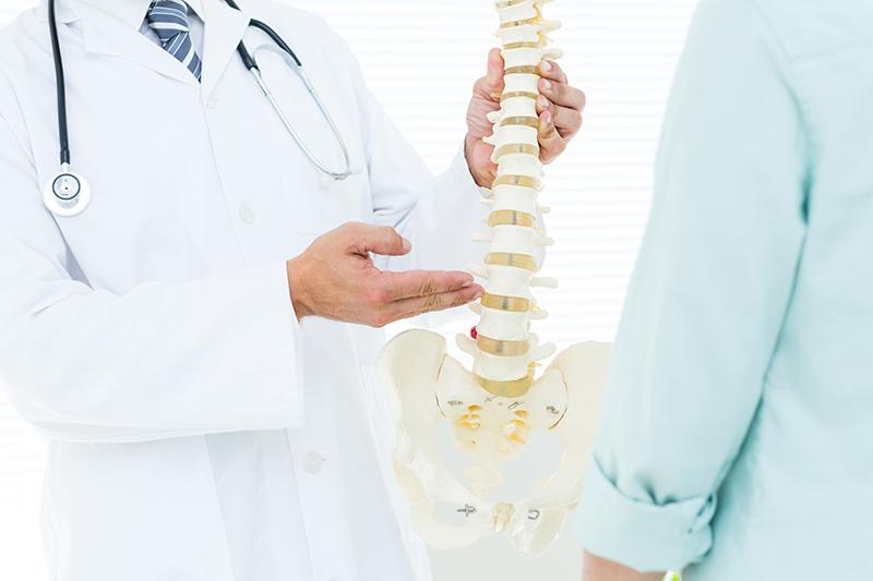 Doctor pointing at anatomical spine in medical office