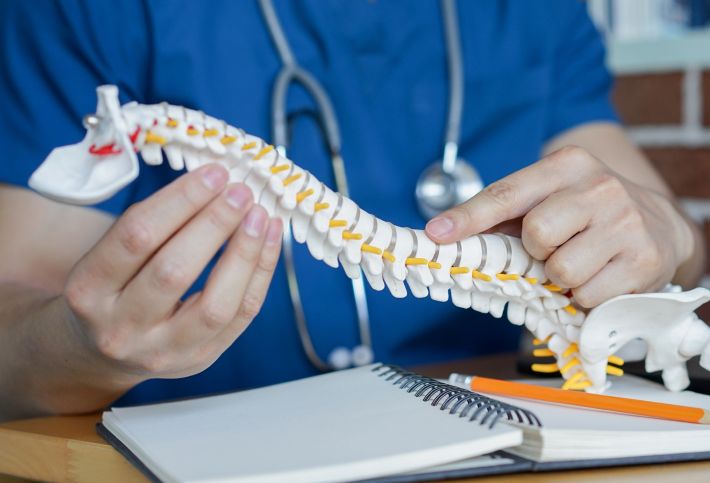 Orthopedic Explaining the Spine